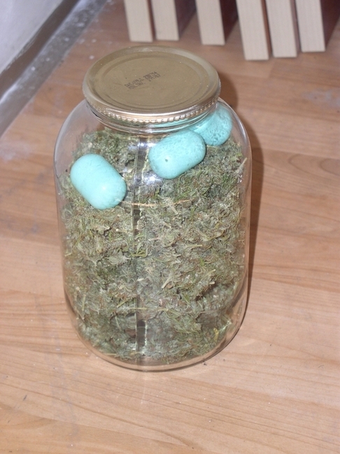 10210421-marihuana.jpg